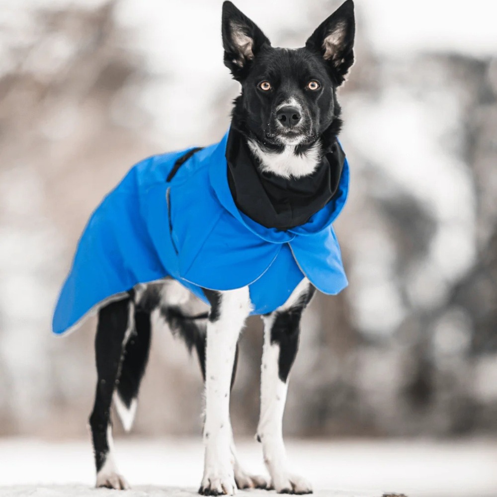 NEW PAIKKA Visibility‎ Winter Dog Jacket Parka Indigo Waterproof Insulated